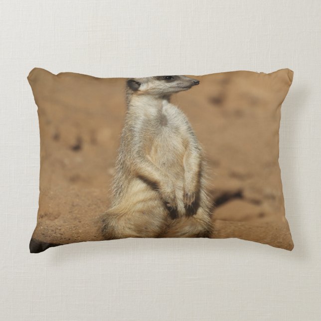 Meerkat 027 accent pillow (Front)