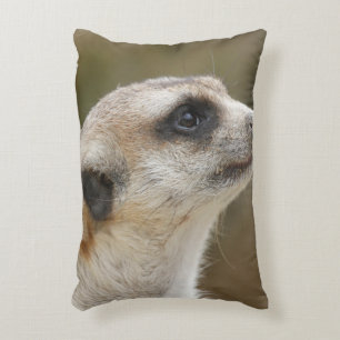Meerkat 028 accent pillow