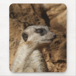 Meerkat 029 mouse pad