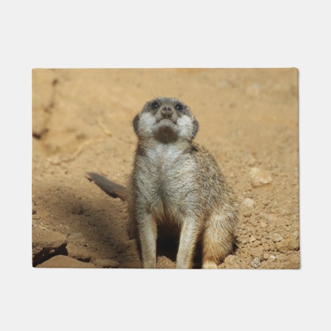 Meerkat 031 doormat (Front)