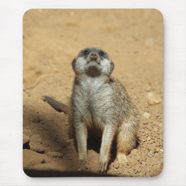 Meerkat 031 mouse pad (Front)