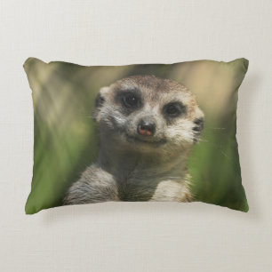 Meerkat 034 accent pillow