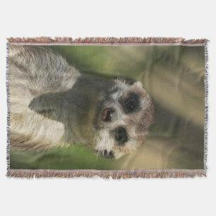 Meerkat 034 throw blanket