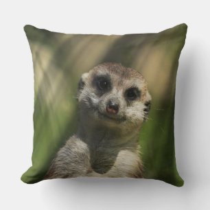 Meerkat 034 throw pillow