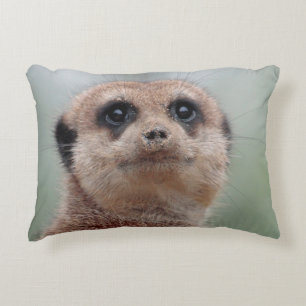 Meerkat 036 accent pillow