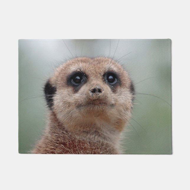 Meerkat 036 doormat (Front)