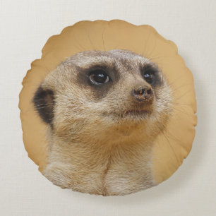 Meerkat 037 round pillow