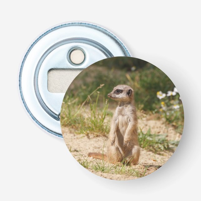 Meerkat 038 bottle opener (Front)