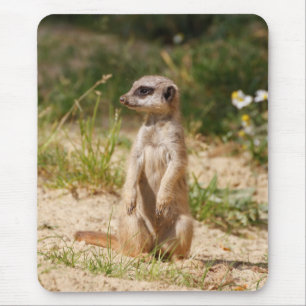 Meerkat 038 mouse pad