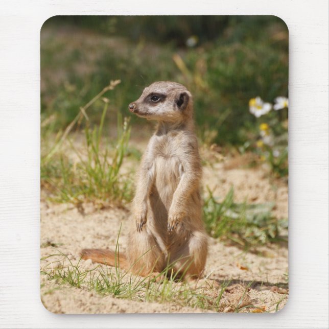 Meerkat 038 mouse pad (Front)