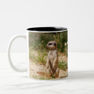 Meerkat 038 Two-Tone coffee mug