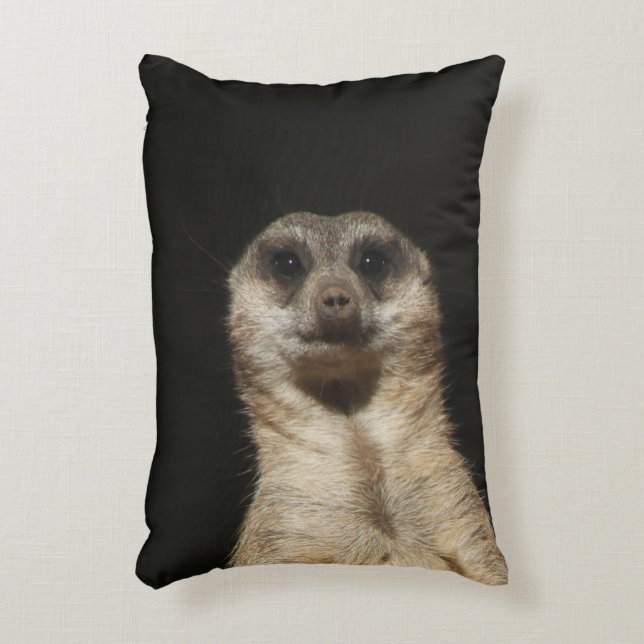 Meerkat 040 accent pillow (Front(Vertical))