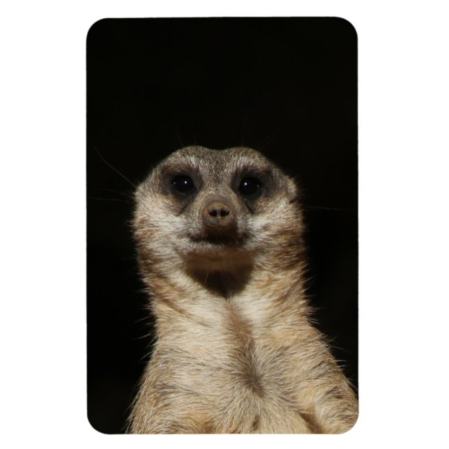 Meerkat 040 magnet (Vertical)