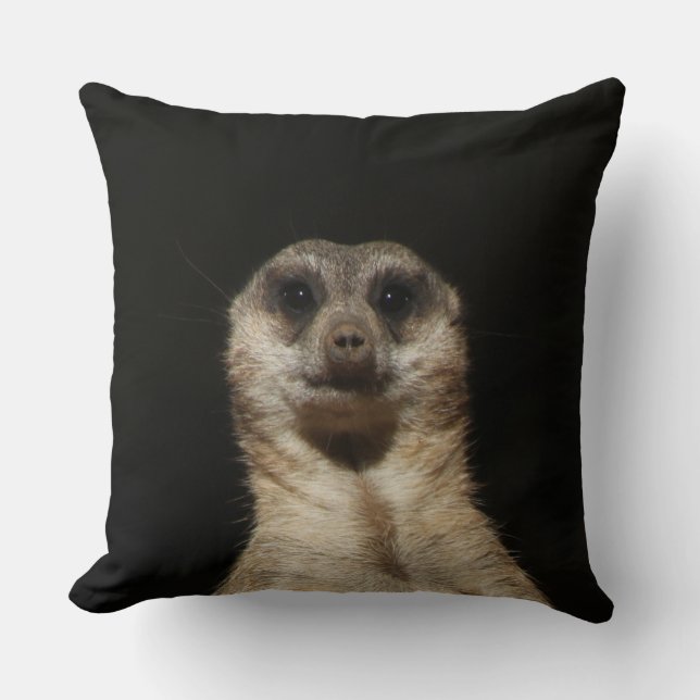 Meerkat 040 throw pillow (Front)