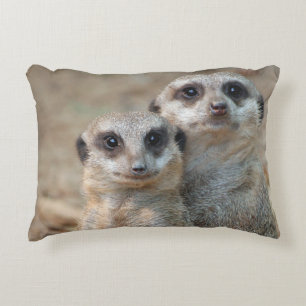 Meerkat 047 accent pillow