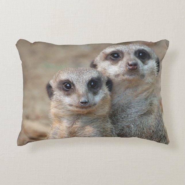 Meerkat 047 accent pillow (Front)