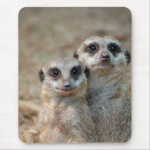 Meerkat 047 mouse pad