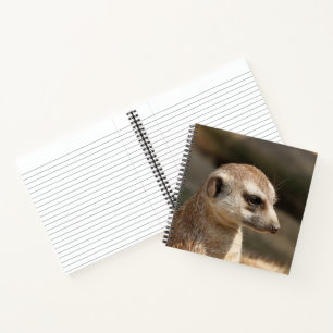 Meerkat 048 notebook