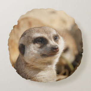 Meerkat 052 round pillow