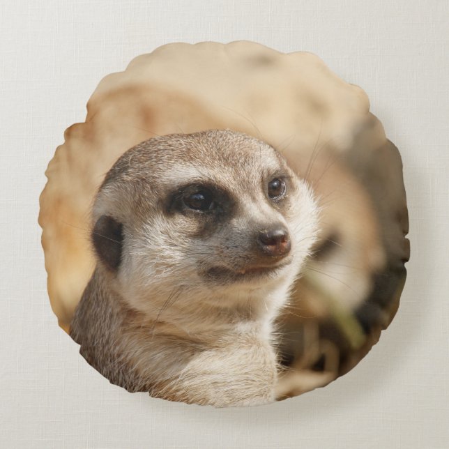 Meerkat 052 round pillow (Front)