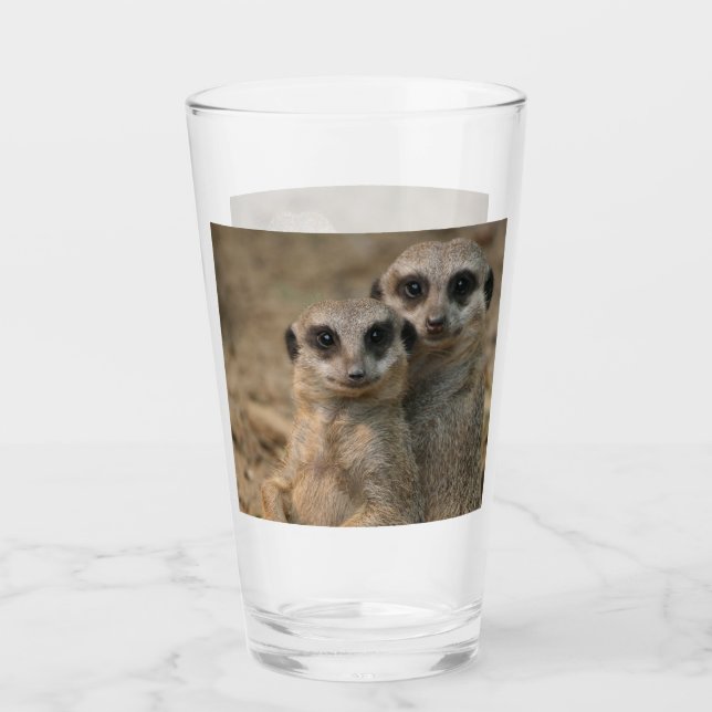 Meerkat 067 glass (Front)