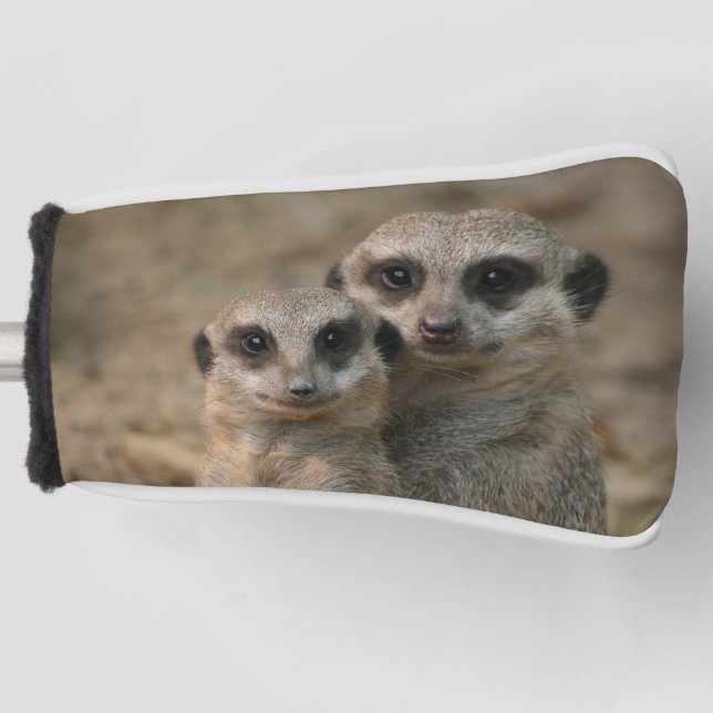 Meerkat 067 golf head cover (Front)