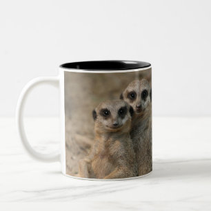 Meerkat 067 Two-Tone coffee mug