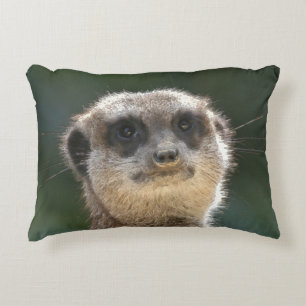 Meerkat 068 accent pillow
