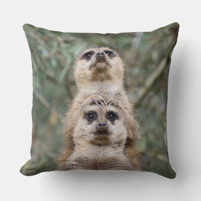 Meerkat 081 throw pillow (Front)