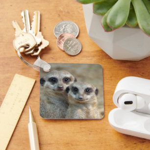 Meerkat 085 keychain