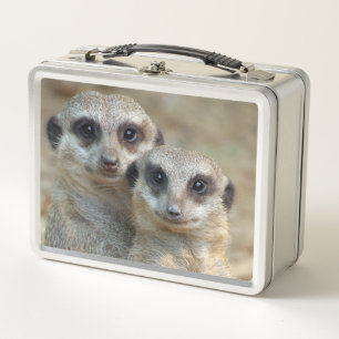 Meerkat 085 metal lunch box