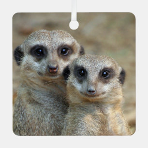 Meerkat 085 metal ornament