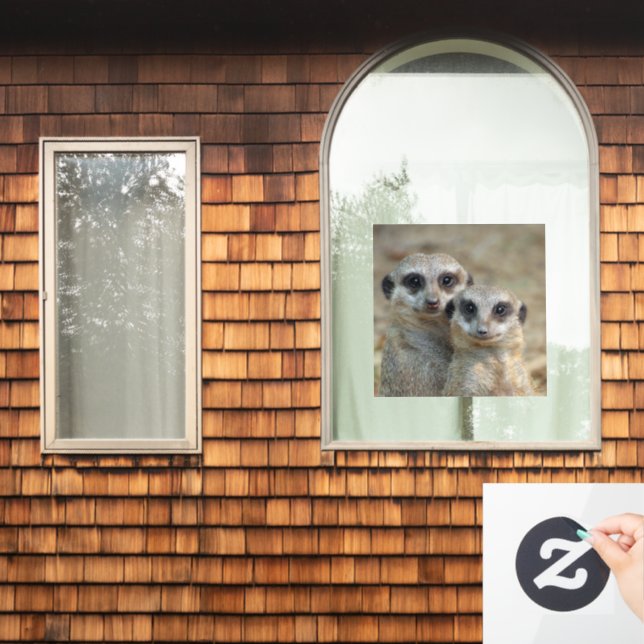 Meerkat 085 window cling (Home Window)