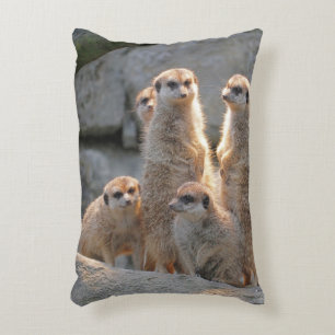 Meerkat 110 accent pillow