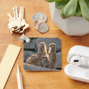 Meerkat 110 keychain