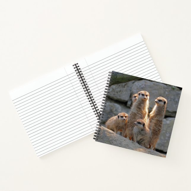 Meerkat 110 notebook (Inside)