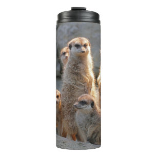 Meerkat 110 thermal tumbler