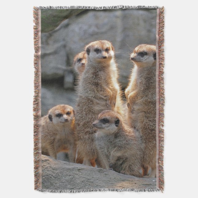 Meerkat 110 throw blanket (Front Vertical)