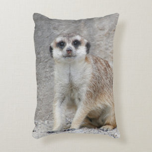 Meerkat 134 accent pillow