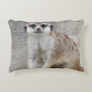 Meerkat 134 accent pillow
