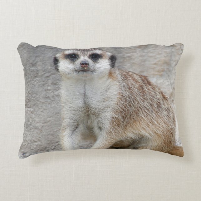 Meerkat 134 accent pillow (Front)