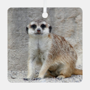 Meerkat 134 metal ornament