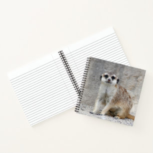 Meerkat 134 notebook