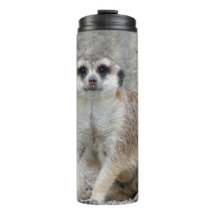 Meerkat 134 thermal tumbler