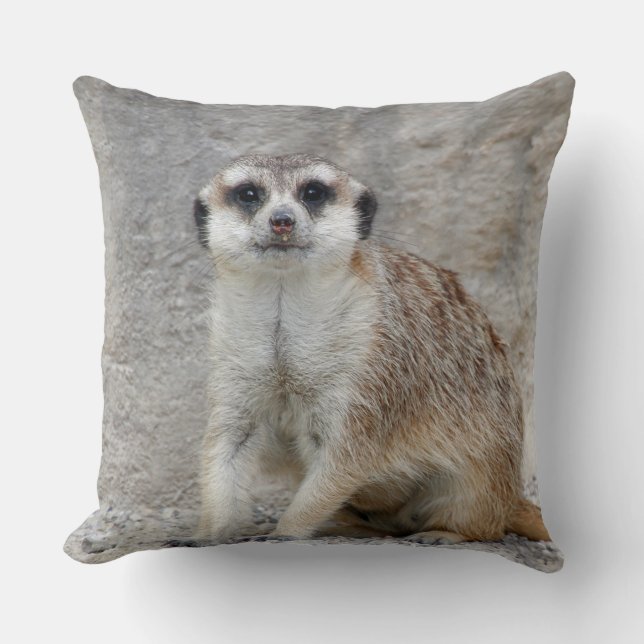 Meerkat 134 throw pillow (Front)