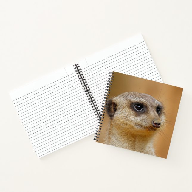 Meerkat 154 notebook (Inside)