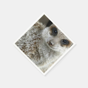 meerkat-16.jpg napkin