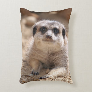 Meerkat 174 accent pillow