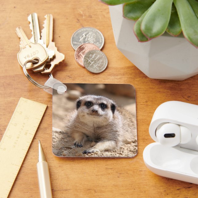 Meerkat 174 keychain (Desk)