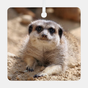 Meerkat 174 metal ornament